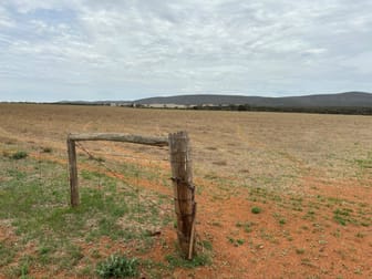 74 Humphries Road Darke Peak SA 5642 - Image 3