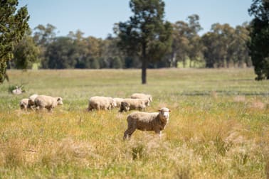 Spurrells Road Pleasant Hills NSW 2658 - Image 2