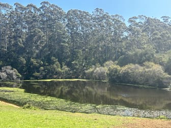 1198 Hill Brook Road Pemberton WA 6260 - Image 2