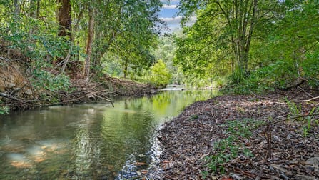 1719 Mooral Creek Road Mooral Creek NSW 2429 - Image 2