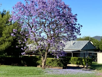 "Donedrovin" 29 Echo Hills Road Werris Creek NSW 2341 - Image 3