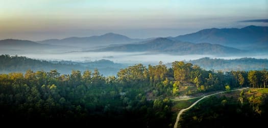 219 Bowraville Road Bellingen NSW 2454 - Image 2
