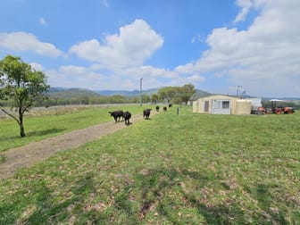 1951 Pembroke Road Cassilis NSW 2329 - Image 1