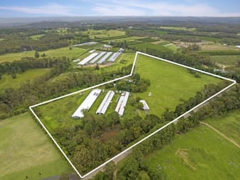150 Niclins Road Mangrove Mountain NSW 2250 - Image 2