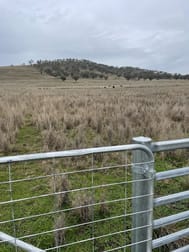 1758 Werris Creek Road Werris Creek NSW 2341 - Image 3