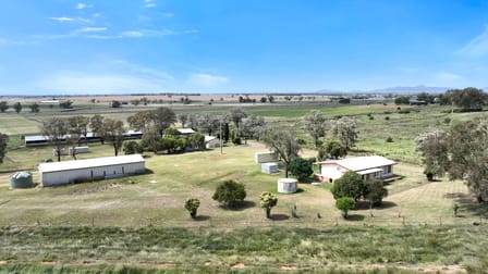 152 Byamee Lane Tamworth NSW 2340 - Image 2