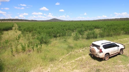 Lot 55 & 79 Burnett Highway Eidsvold QLD 4627 - Image 1