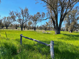 Darganullup 1431 Boyup Brook - Kojonup Road Mayanup WA 6244 - Image 2