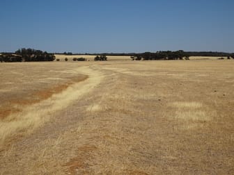 Lot 6879 Great Southern Highway Yornaning WA 6311 - Image 3