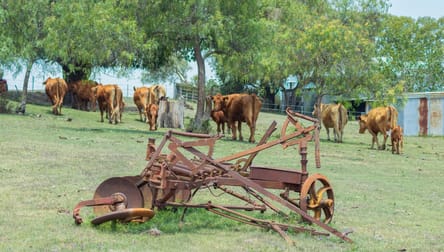 246 Mcmasters Road Upper Freestone QLD 4370 - Image 1