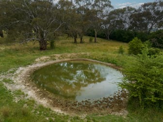 'Part Sunnyview' Forest Reefs Road Orange NSW 2800 - Image 3