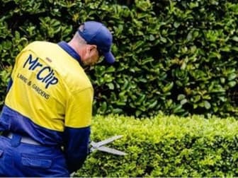 Professional Services  business for sale in Mount Barker - Image 3