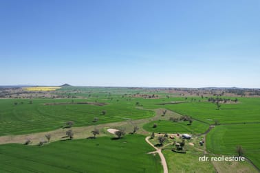 Gragin Boundary Road Delungra NSW 2403 - Image 1