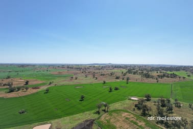 Gragin Boundary Road Delungra NSW 2403 - Image 2