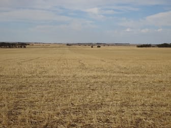 Treloars Road North Kukerin WA 6352 - Image 1