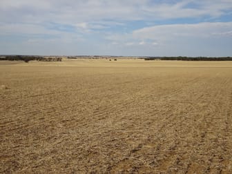 Treloars Road North Kukerin WA 6352 - Image 2