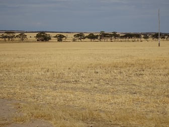 Treloars Road North Kukerin WA 6352 - Image 3