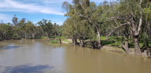 2864 Lachlan Valley Way Lake Cargelligo NSW 2672 - Image 3