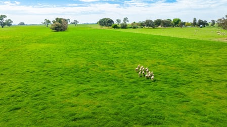 'Part Sunrise'/375 Walla Walbundrie Road Walla Walla NSW 2659 - Image 2