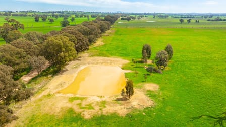 'Part Sunrise'/375 Walla Walbundrie Road Walla Walla NSW 2659 - Image 3