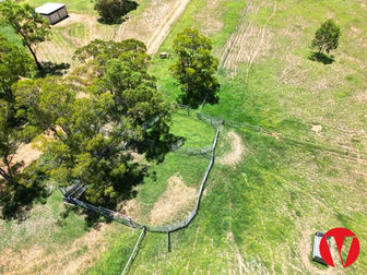 116A Lalors Lane Roma QLD 4455 - Image 3