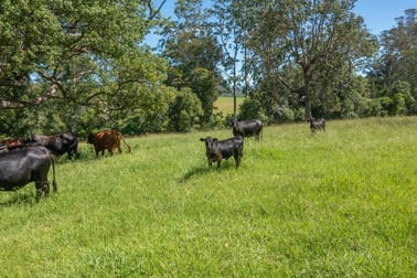 176 McMillans Road Ellenborough NSW 2446 - Image 2