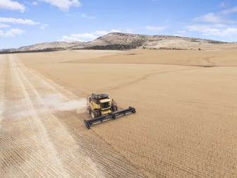 'Sunny Rise' Booleroo Road Pekina SA 5431 - Image 2