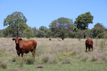 392 Murrumbilla Lane Narrabri NSW 2390 - Image 2