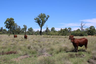 392 Murrumbilla Lane Narrabri NSW 2390 - Image 3