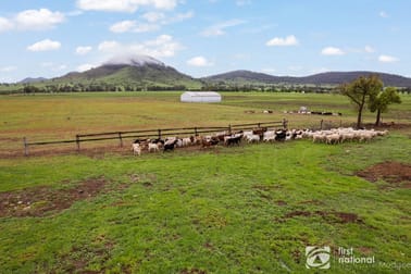 533 Burrundulla Road Mudgee NSW 2850 - Image 1