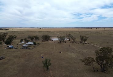 50 Warrena Road Coonamble NSW 2829 - Image 3