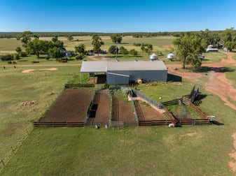 1107 Brobenah Hall Road Leeton NSW 2705 - Image 3