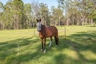 Click to view all images 74 Rodeo Drive Kundabung NSW 2441 - Image 2