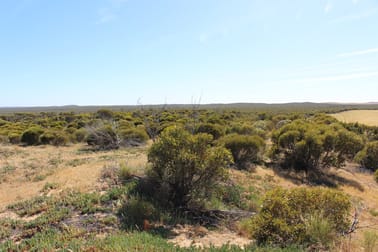 S22 Tori Hills Road Sandalwood SA 5309 - Image 1