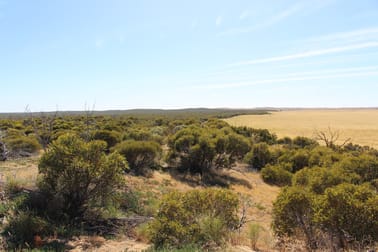 S22 Tori Hills Road Sandalwood SA 5309 - Image 2