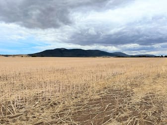 Sections 283 & 286 - 350 Duck Lake Road Wangary SA 5607 - Image 1