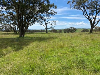 980 Mayfield Road Essington NSW 2787 - Image 3