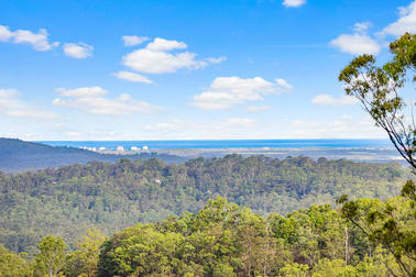 269 Diamond Valley Road Diamond Valley QLD 4553 - Image 1