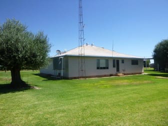 622 Old Willbriggie Road Hanwood NSW 2680 - Image 1