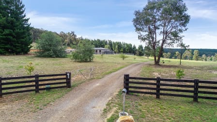 433 Long Point Road Orange NSW 2800 - Image 3