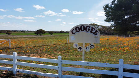 44573 Sturt Highway Balranald NSW 2715 - Image 3