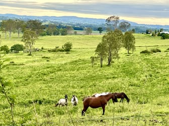 431 Tarome Road Tarome QLD 4309 - Image 3