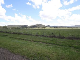 Lot 173 Kings Creek Yarrawa NSW 2328 - Image 1
