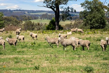 169 Boorowa Road Crookwell NSW 2583 - Image 1