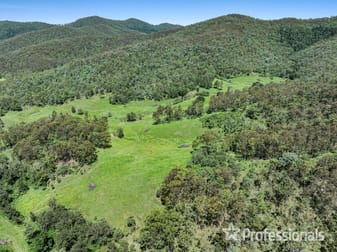 Lot 101 Thornside Road Widgee QLD 4570 - Image 3