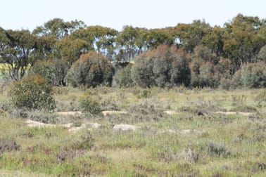 Lot 3 Rifle Range Rd Dumbleyung WA 6350 - Image 1