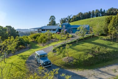 1163 Deer Vale Road Dorrigo NSW 2453 - Image 1