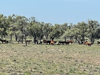 1737 East Culgoa Road Brewarrina NSW 2839 - Image 3