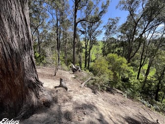 Barlows Road Won Wron VIC 3971 - Image 1