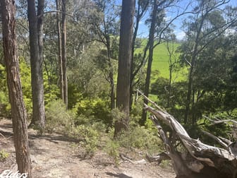 Barlows Road Won Wron VIC 3971 - Image 3